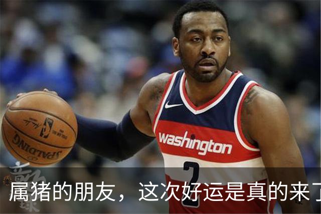 属猪的朋友，这次好运是真的来了