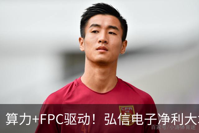 算力+FPC驱动！弘信电子净利大增139%，股价较年内高点回撤超40%